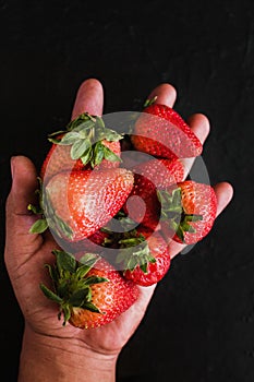 Strawberries in a hand in black background photo