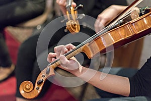 Hand on the strings of a violin