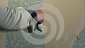 Hand stripping wallpaper from home internal wall close up