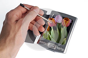 Hand with stylus and laptop