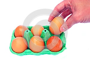 Hand taking an egg from box of six eggs isolated