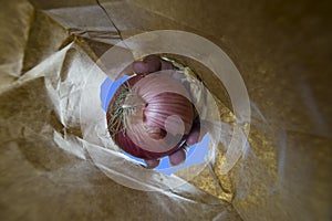 Hand taking out an onion and vegetables from the shopping bag photo