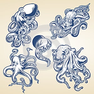 Octopus Drawing Blue Vintage Vector illustrtor photo
