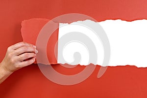 Hand tearing red paper background uncovering white copy space photo