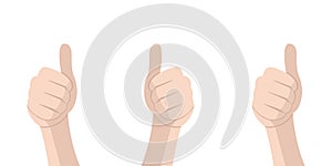 Hand with thumb. Feedback concept. Vector isolated illustration. Congratulate winner vector design illustration. Vector Thumbs up