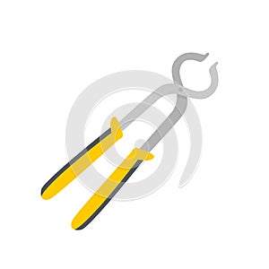 Hand tools vector. Steel pliers for pinching workpieces and cutting wires