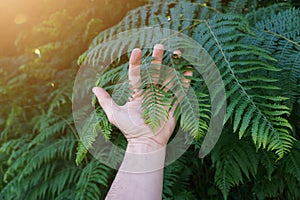 Hand touchin green leaves in the nature