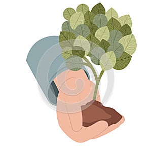 Hand with tree plant isolated icon