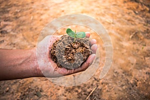 Hand for tree planting.