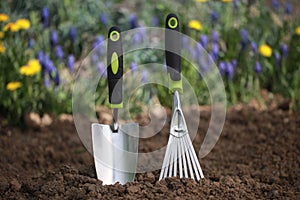 Hand trowel and a rake in garden soil