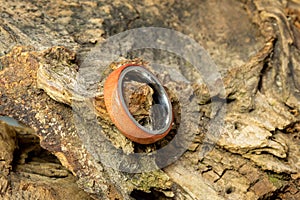 Hand turned wood ring
