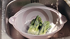 Hand turning on the faucet in the sink to soak wilted bok choy