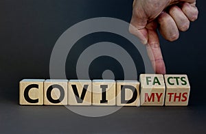 Hand turns cubes and changes the expression `covid myths` to `covid facts`. Beautiful grey background. COVID-19 pandemic conce