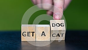 Hand turns wooden cube and changes the expression 'get a cat' to 'get a dog.