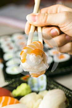 Hand using chopsticks pick Sushi, Sashimi and Futomaki rolls. Fresh made Sushi set with salmon, prawns, wasabi and ginger. Tradit