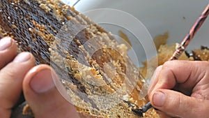 Hand using a knife to clog honeycombs with honey in a frame. Beekeeper Unseal Honeycomb.