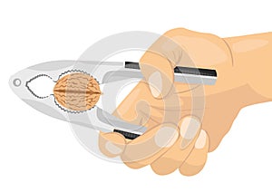 Hand using a nutcracker to crack a nut