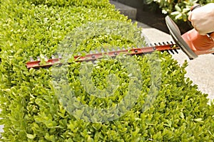 Hand Using Power Hedge Trimmer