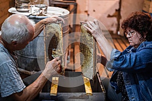 Hand using a scraper to clog honeycombs with honey in a frame. Beekeeper Unseal Honeycomb.