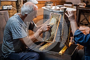 Hand using a scraper to clog honeycombs with honey in a frame. Beekeeper Unseal Honeycomb.