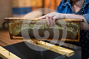 Hand using a scraper to clog honeycombs with honey in a frame. Beekeeper Unseal Honeycomb.