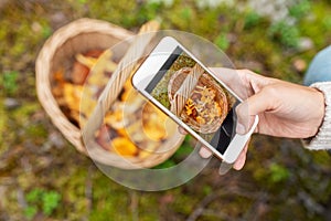 hand using smartphone to identify mushrooms