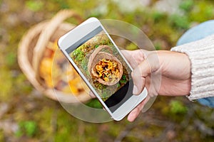 hand using smartphone to identify mushrooms