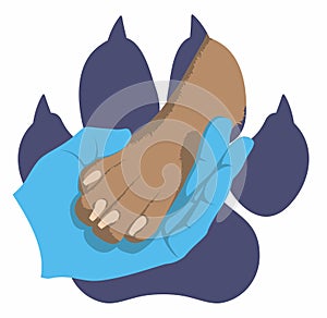The hand of veterinarian in medical glove gently holds a dog`s paw on the background of the imprint of a dog`s paw. Symbol of lo