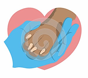 The hand of veterinarian in a medical glove gently holds a dog`s paw on the background of a pink heart. Zoologist and animal.