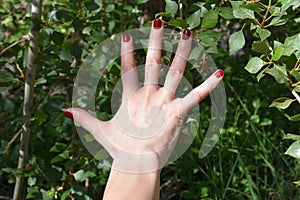 Hand view with red nail polish on green plants background photo