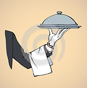 Hand of waiter with dish. Vector drawing