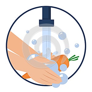 Hand washing carrot vector isolated. Wash fruits