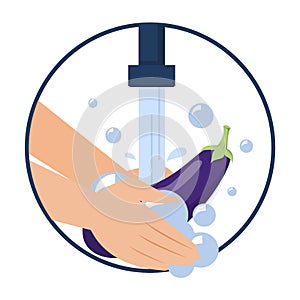 Hand washing eggplant vector isolated. Wash fruits