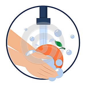 Hand washing grapefruit vector isolated. Wash fruits