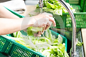 Hand washing leafy vegetable with running water in household sin