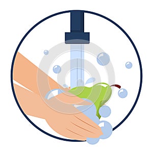 Hand washing pear vector isolated. Wash fruits