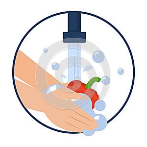 Hand washing pepper vector isolated. Wash fruits