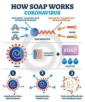 Hand washing with soap to fight coronavirus Covid-19 vector illustration.