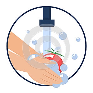 Hand washing tomato vector isolated. Wash fruits