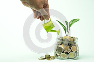 Hand watering plant with coins in glass jar for idea,saving money glowing business concept.