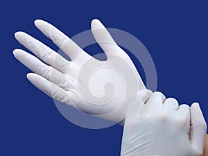 hand wearing nitrile glove photo