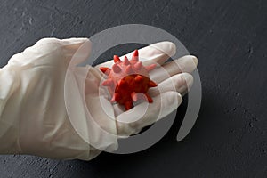 Hand in white latex rubber glove holds red coronavirus sample model on black background. Coronavirus outbreak, coronaviruses
