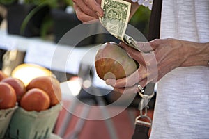 Hand of woman counting out US dollars as she holds a tomato shes getting ready to buy at a farmers market