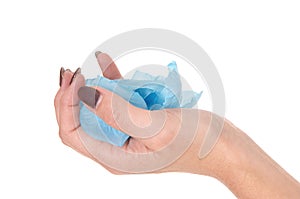 The hand of a woman holding blue rose petals