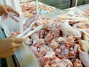 Hand woman shopping for chicken meat