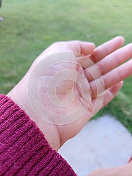 Hand woman softskin natural natural background