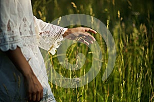 Hand of woman touches tall grass.