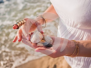 Hand of woman with various open seashells oh palm. Summer vacation concept.