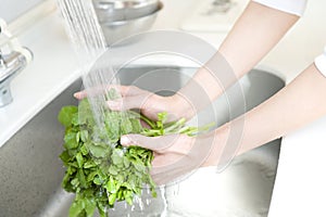 Hand of woman washing vegetable