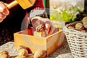 With a wooden hammer cracking nuts